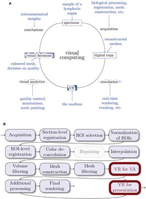 Inspection of Histological 3D Reconstructions in Virtual Reality